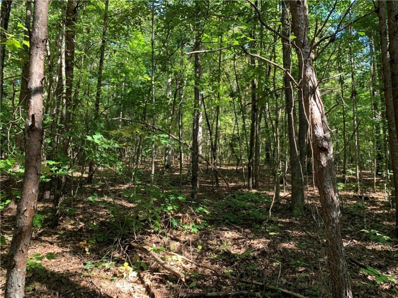 Property image 2 at LOT S The Bear Boulevard, Tamassee, SC 29686