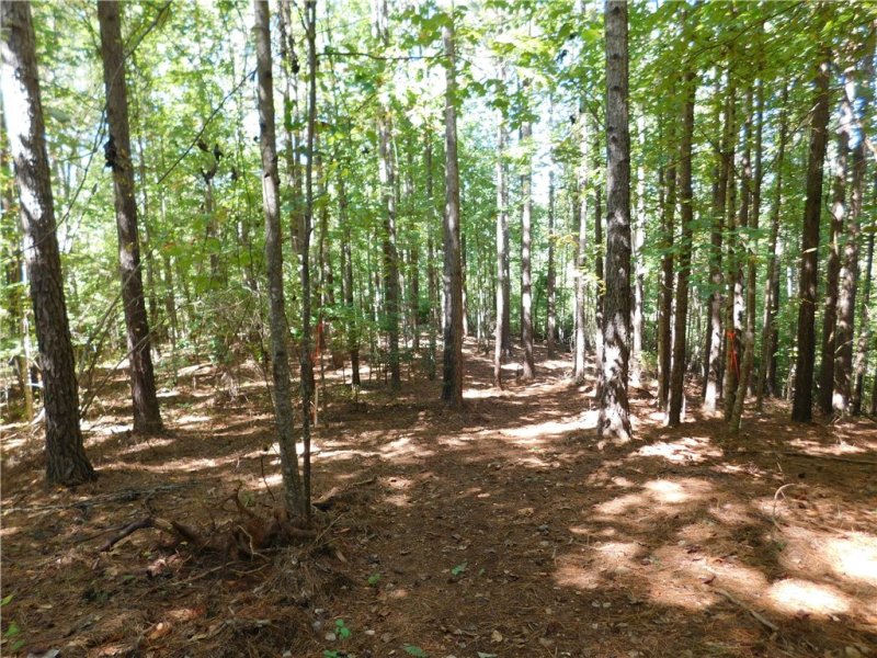 Property image 2 at Lot 9 Bentwood Way, Salem, SC 29676