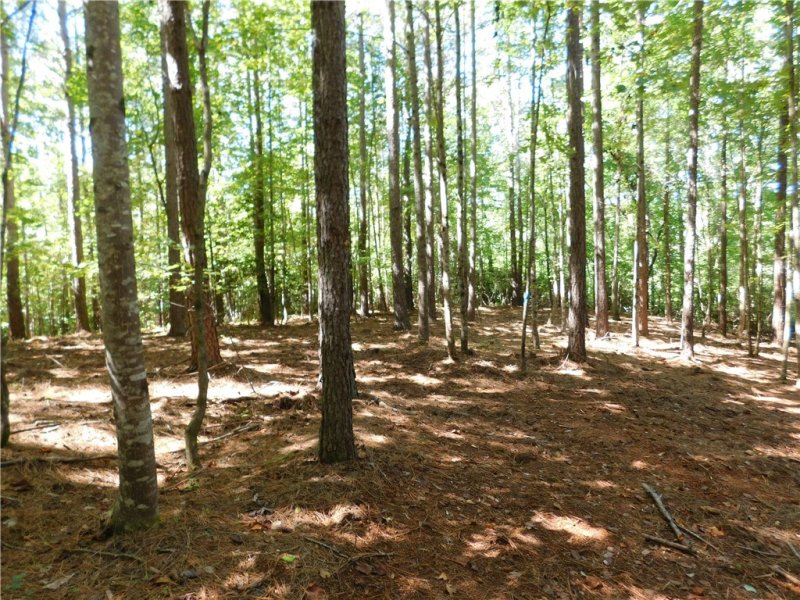 Property image 3 at Lot 9 Bentwood Way, Salem, SC 29676