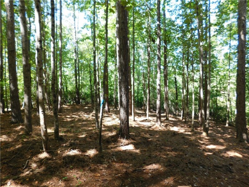 Property image 5 at Lot 9 Bentwood Way, Salem, SC 29676