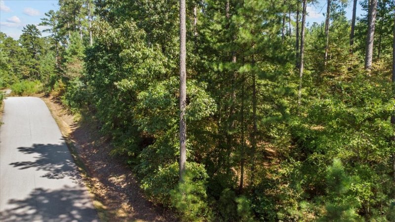 Property image 3 at 578 McAlister Road, West Union, SC 29696