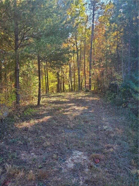 Property image 2 at 320 Cool Water Way, Salem, SC 29676