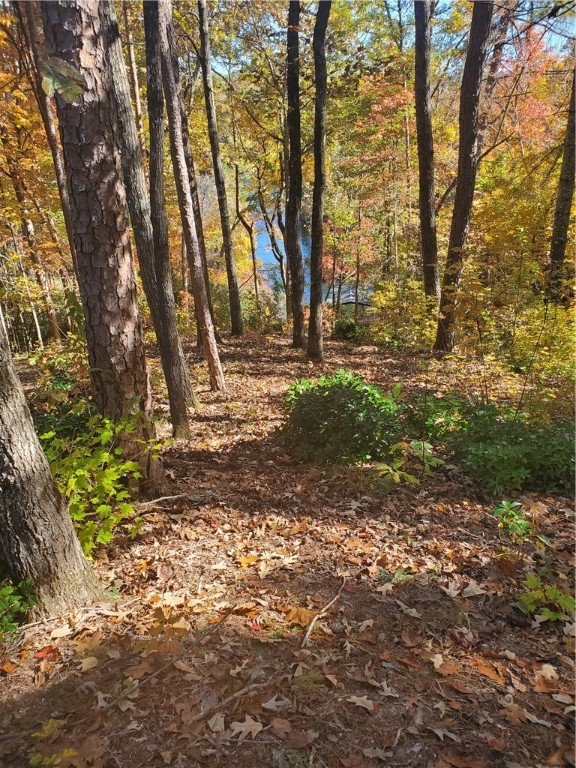 Property image 3 at 320 Cool Water Way, Salem, SC 29676