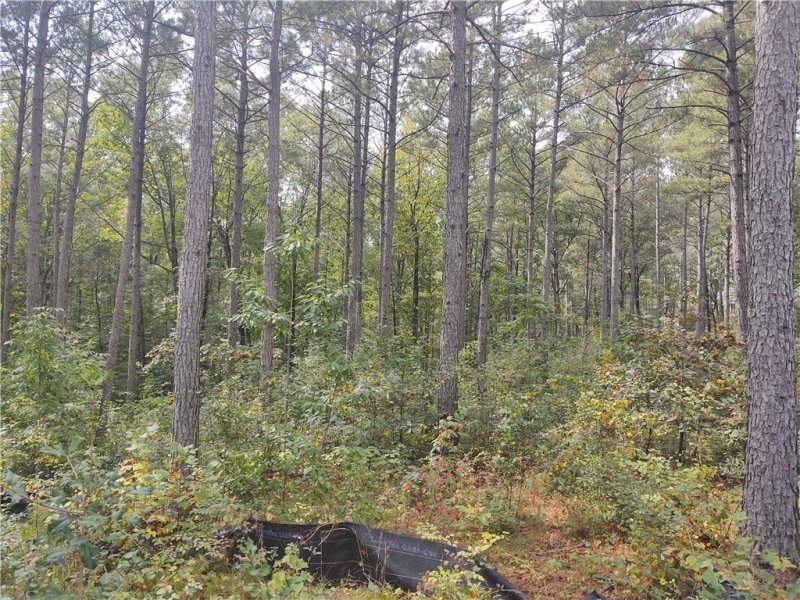 Property image 3 at Lot 5 Harbor Point Road, Seneca, SC 29672