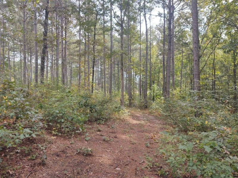 Property image 5 at Lot 5 Harbor Point Road, Seneca, SC 29672