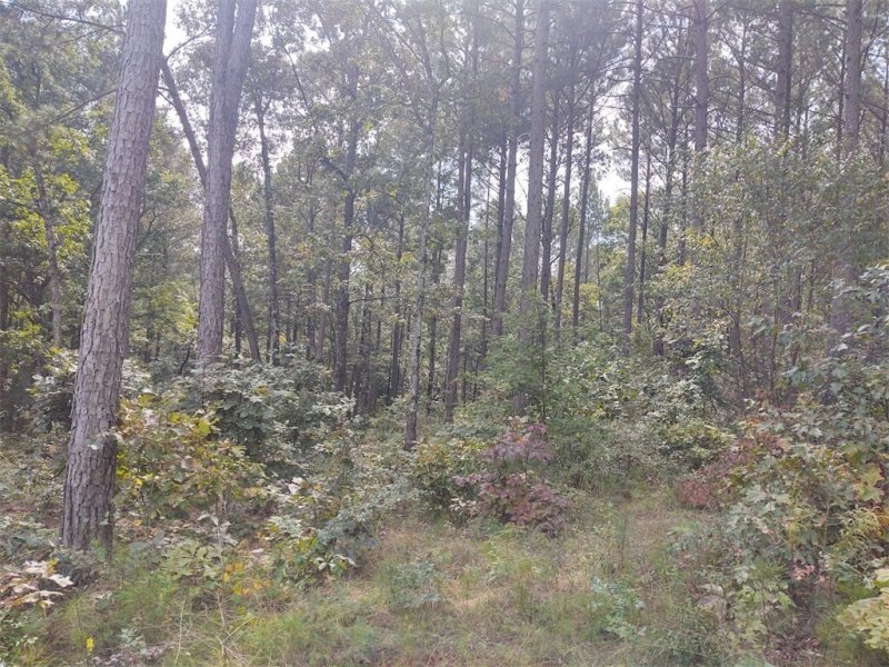 Property image 3 at Lot 6 Harbor Point Road, Seneca, SC 29672