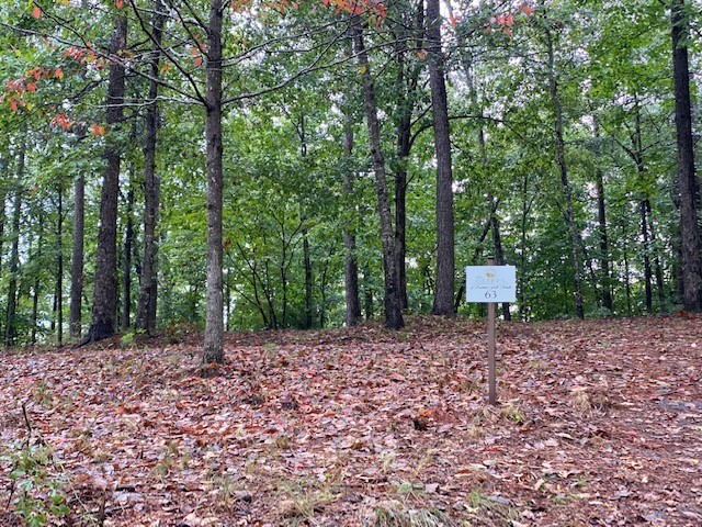 Property image 2 at 327 Long Cove Trail, Salem, SC 29676