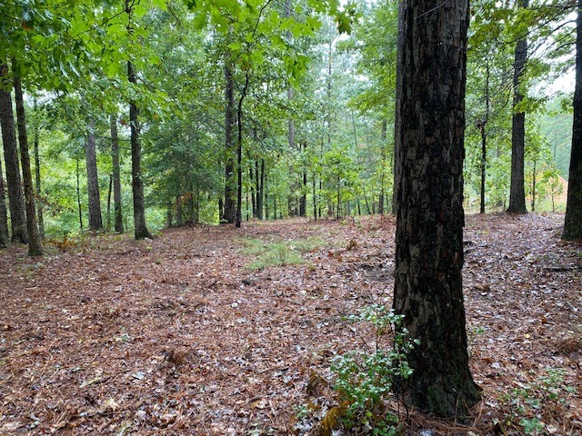 Property image 3 at 327 Long Cove Trail, Salem, SC 29676