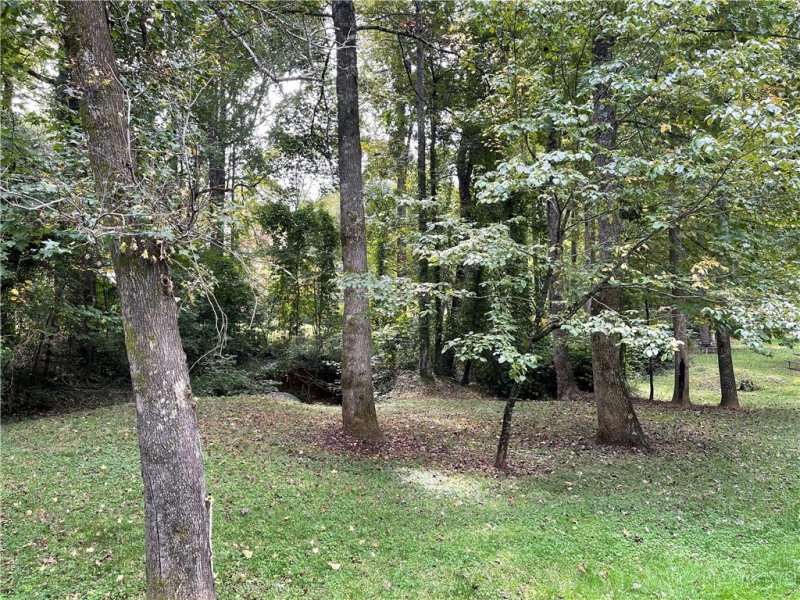 Property image 4 at 405 Brookstone Way, Central, SC 29630