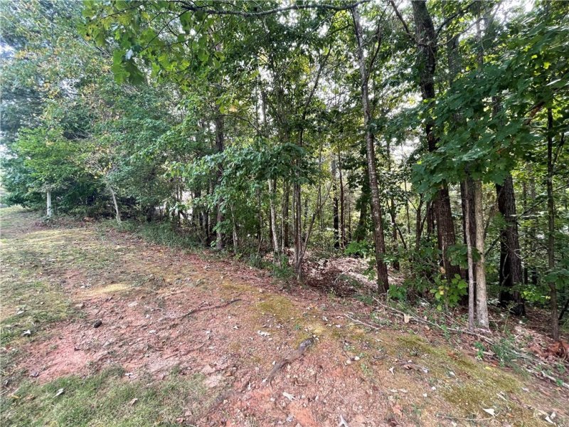 Property image 3 at 136 Steppingstone Way, Central, SC 29630