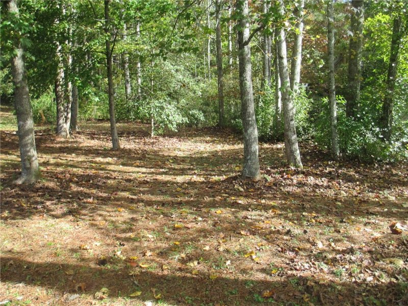 Property image 5 at 111 Panday Parkway, Tamassee, SC 29686