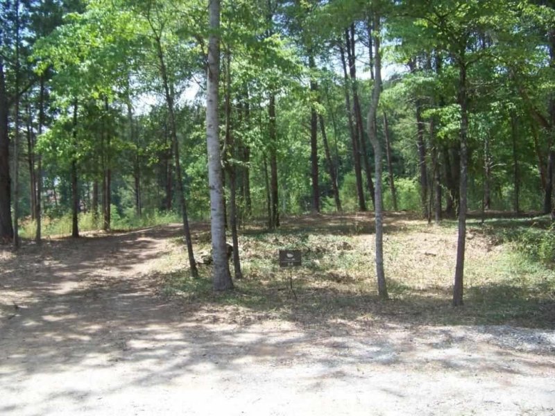 Property image 4 at 146 Island Water Drive, Six Mile, SC 29682