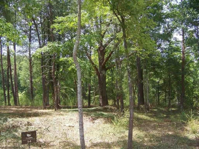 Property image 5 at 146 Island Water Drive, Six Mile, SC 29682