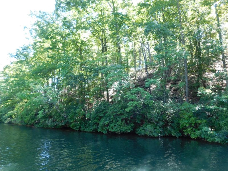 Property image 2 at Lot 5 Bentwood Way, Salem, SC 29676