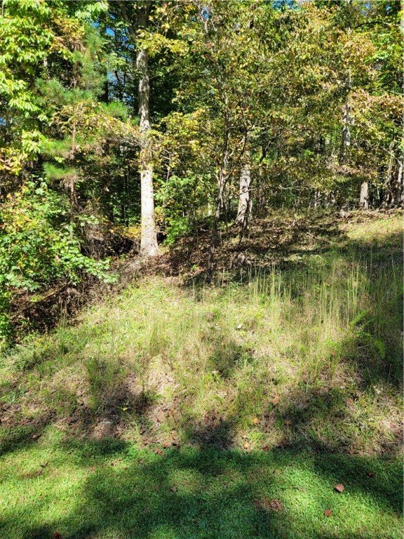 Property image 2 at 00 Cedar Creek Road, Sunset, SC 29685