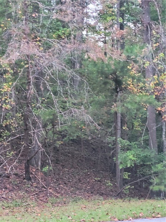 Property image 5 at 00 Cedar Creek Road, Sunset, SC 29685